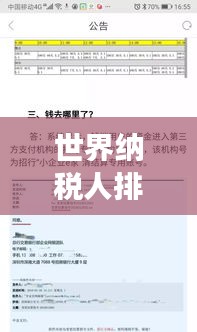 世界纳税人排名揭示的经济现象，深度探究背后的秘密