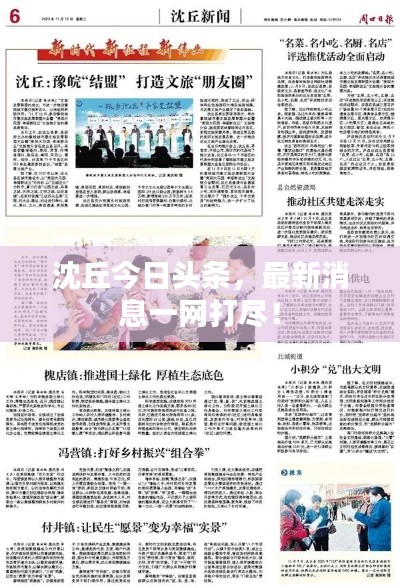 沈丘今日头条，最新消息一网打尽！