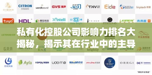 私有化控股公司影响力排名大揭秘，揭示其在行业中的主导地位与重要性