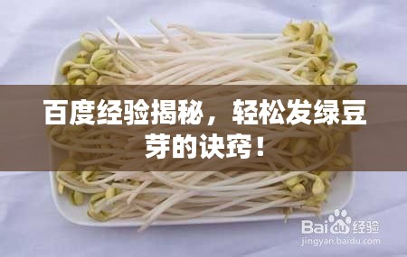 百度经验揭秘，轻松发绿豆芽的诀窍！