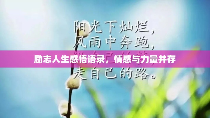 励志人生感悟语录，情感与力量并存