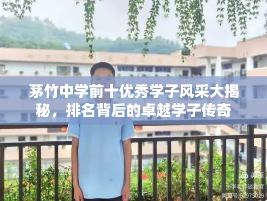 马马虎虎 第2页
