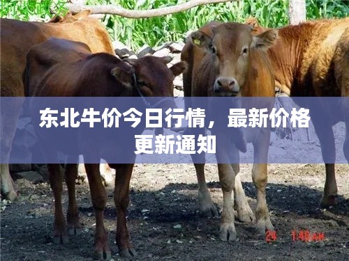 闻所未闻 第2页