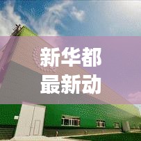 新华都最新动态，今日消息重磅来袭！