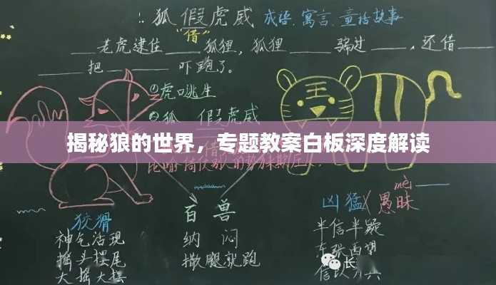 揭秘狼的世界，专题教案白板深度解读