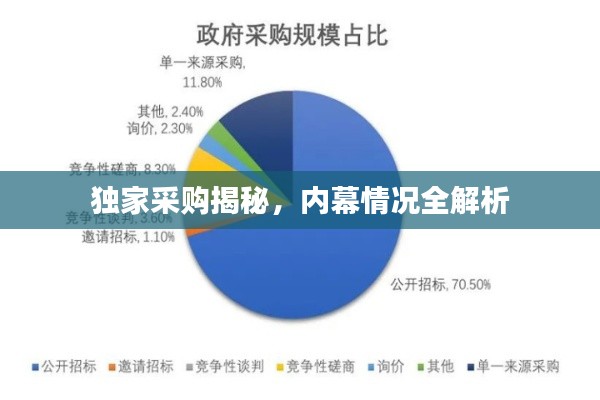 独家采购揭秘，内幕情况全解析