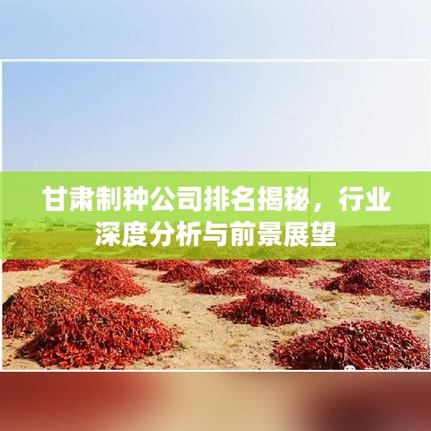 甘肃制种公司排名揭秘，行业深度分析与前景展望