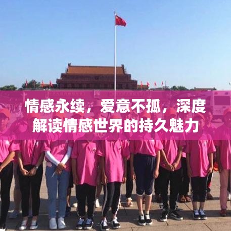 情感永续，爱意不孤，深度解读情感世界的持久魅力