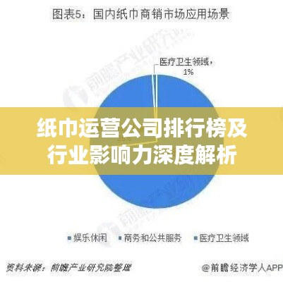 纸巾运营公司排行榜及行业影响力深度解析