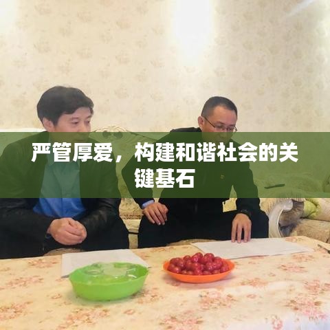 严管厚爱，构建和谐社会的关键基石