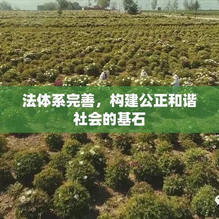 法体系完善，构建公正和谐社会的基石