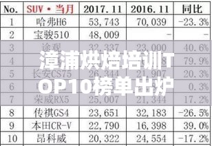 双瞳剪水