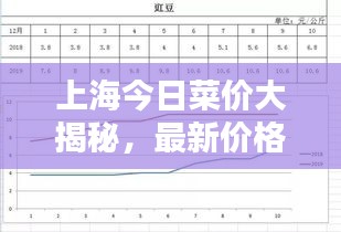 上海今日菜价大揭秘，最新价格一览
