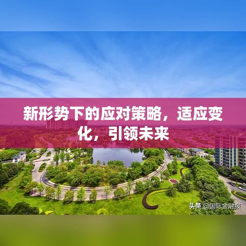 新形势下的应对策略，适应变化，引领未来