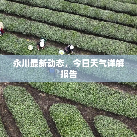 永川最新动态，今日天气详解报告