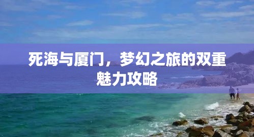 死海与厦门，梦幻之旅的双重魅力攻略