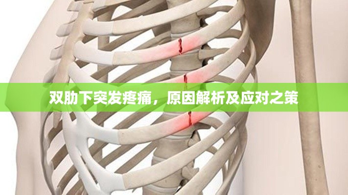 双肋下突发疼痛，原因解析及应对之策