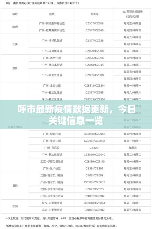 呼市最新疫情数据更新，今日关键信息一览