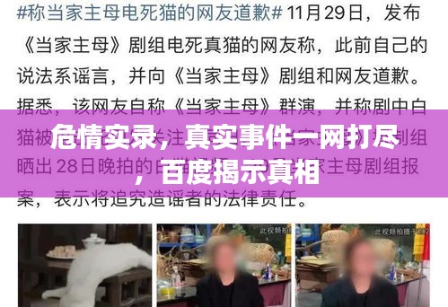 危情实录，真实事件一网打尽，百度揭示真相