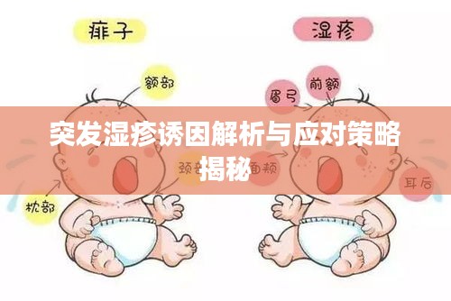 突发湿疹诱因解析与应对策略揭秘