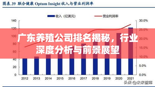 广东养殖公司排名揭秘，行业深度分析与前景展望