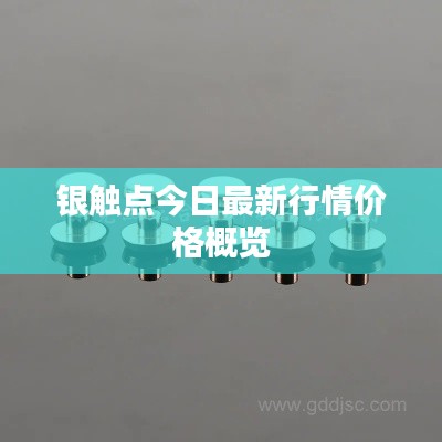 银触点今日最新行情价格概览