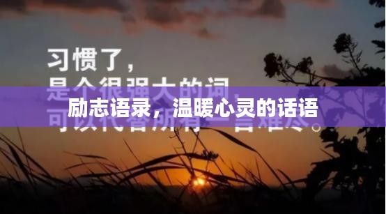 励志语录，温暖心灵的话语