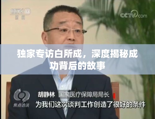 独家专访白所成，深度揭秘成功背后的故事