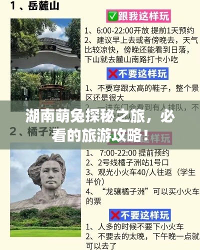 湖南萌兔探秘之旅，必看的旅游攻略！