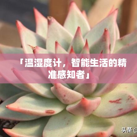 「温湿度计，智能生活的精准感知者」