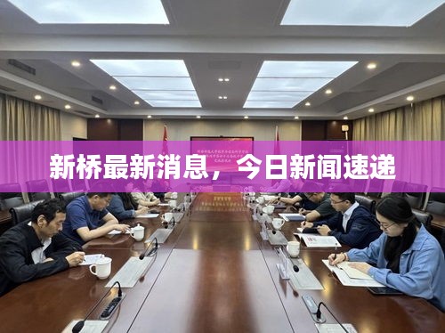 新桥最新消息，今日新闻速递