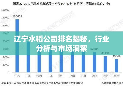 辽宁水稻公司排名揭秘，行业分析与市场洞察