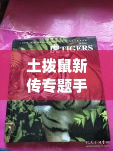土拨鼠新传专题手册，深度解读，引人入胜！