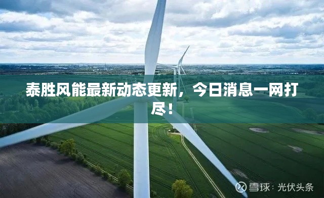 泰胜风能最新动态更新，今日消息一网打尽！