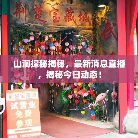 山洞探秘揭秘，最新消息直播，揭秘今日动态！