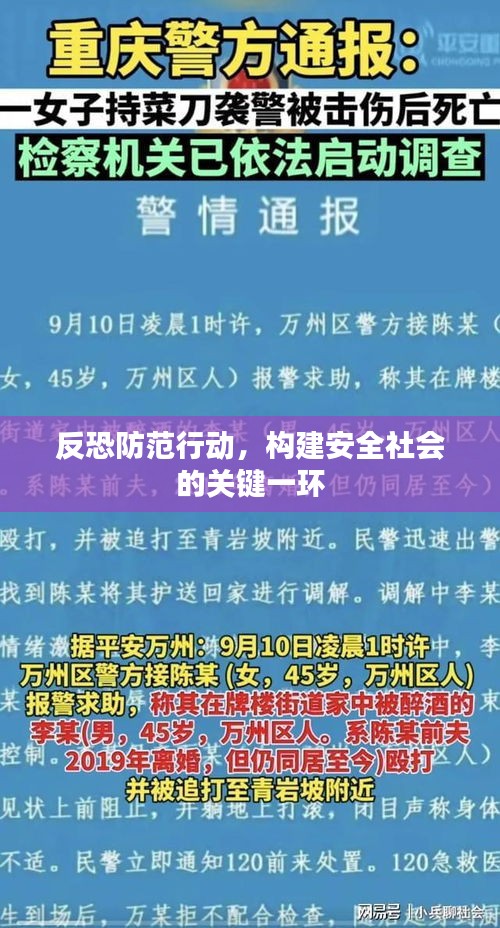反恐防范行动，构建安全社会的关键一环