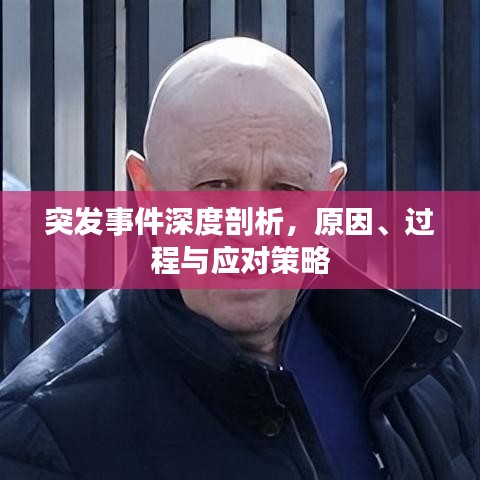 突发事件深度剖析，原因、过程与应对策略