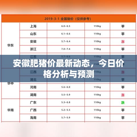 安徽肥猪价最新动态，今日价格分析与预测