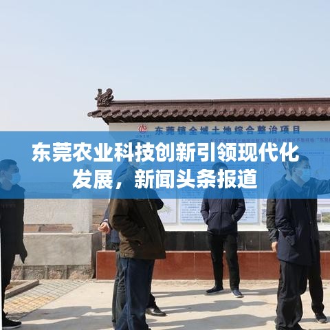 东莞农业科技创新引领现代化发展，新闻头条报道