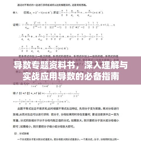 导数专题资料书，深入理解与实战应用导数的必备指南