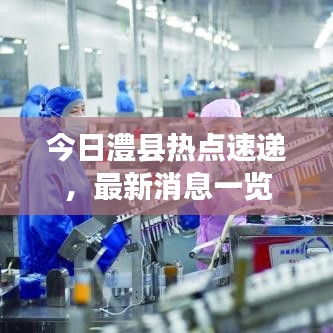今日澧县热点速递，最新消息一览