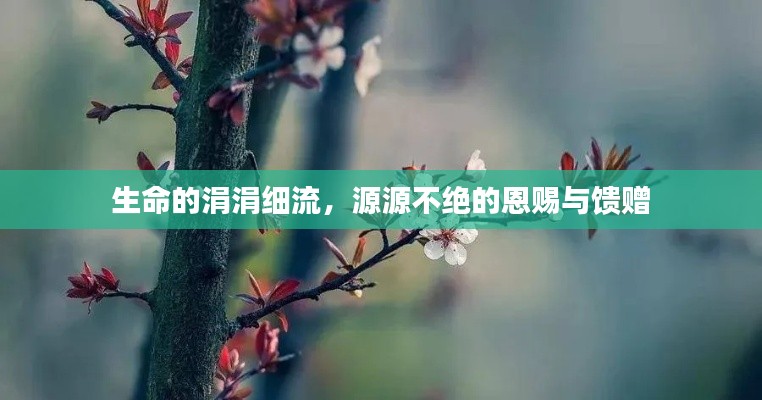 生命的涓涓细流，源源不绝的恩赐与馈赠