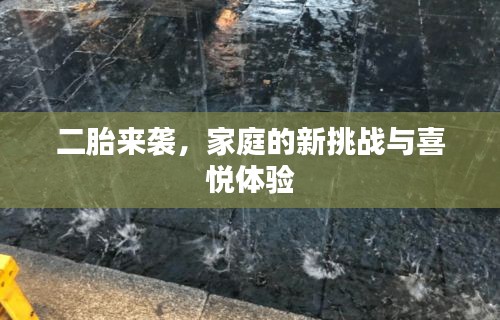 二胎来袭，家庭的新挑战与喜悦体验