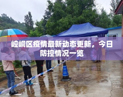崆峒区疫情最新动态更新，今日防控情况一览