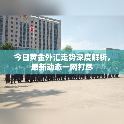 今日黄金外汇走势深度解析，最新动态一网打尽