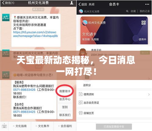 天宝最新动态揭秘，今日消息一网打尽！