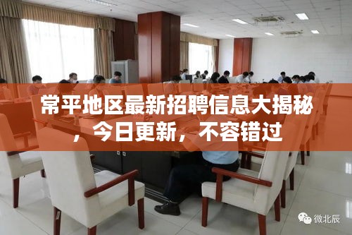 常平地区最新招聘信息大揭秘，今日更新，不容错过