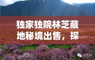 独家独院林芝藏地秘境出售，探寻优雅生活新篇章