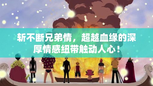 斩不断兄弟情，超越血缘的深厚情感纽带触动人心！