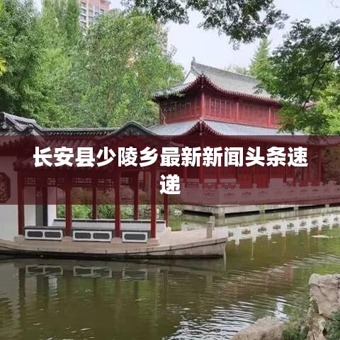 长安县少陵乡最新新闻头条速递